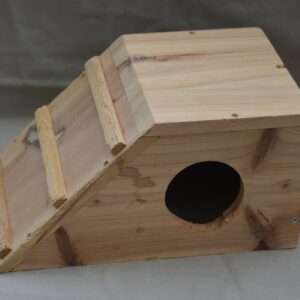 Maison pour petit rongeur