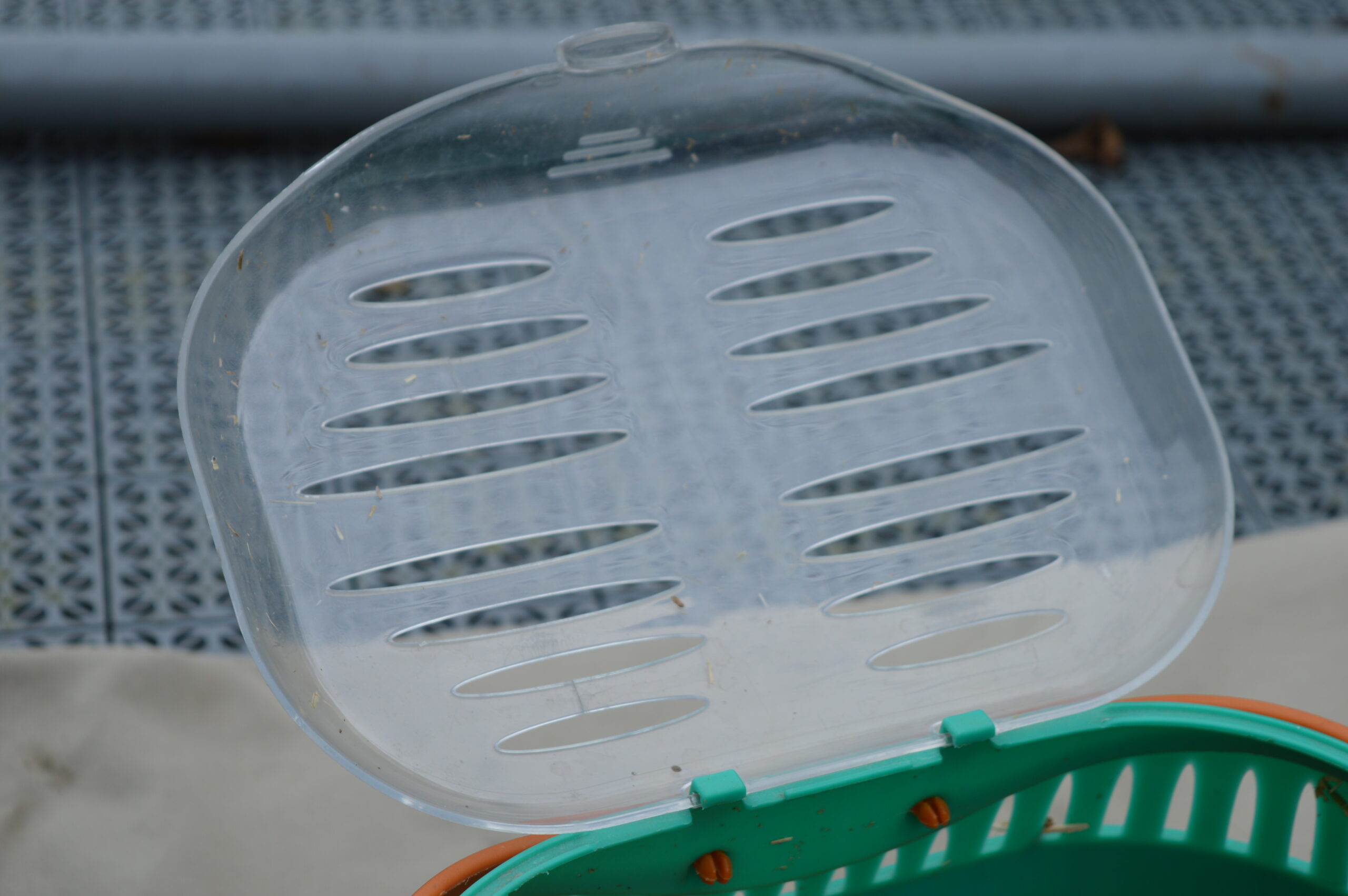 Boite de transport pour rongeur – Image 7