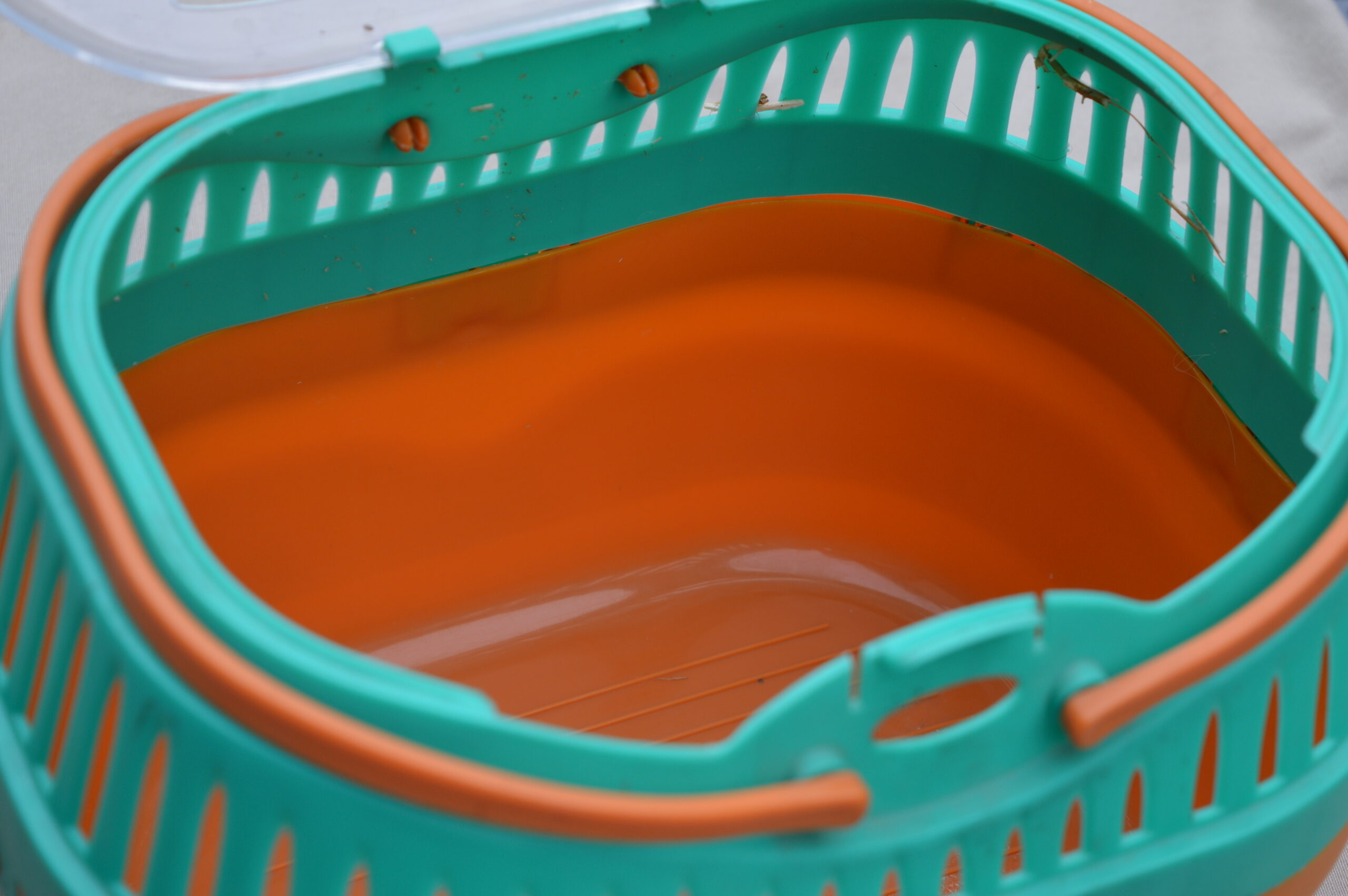 Boite de transport pour rongeur – Image 6