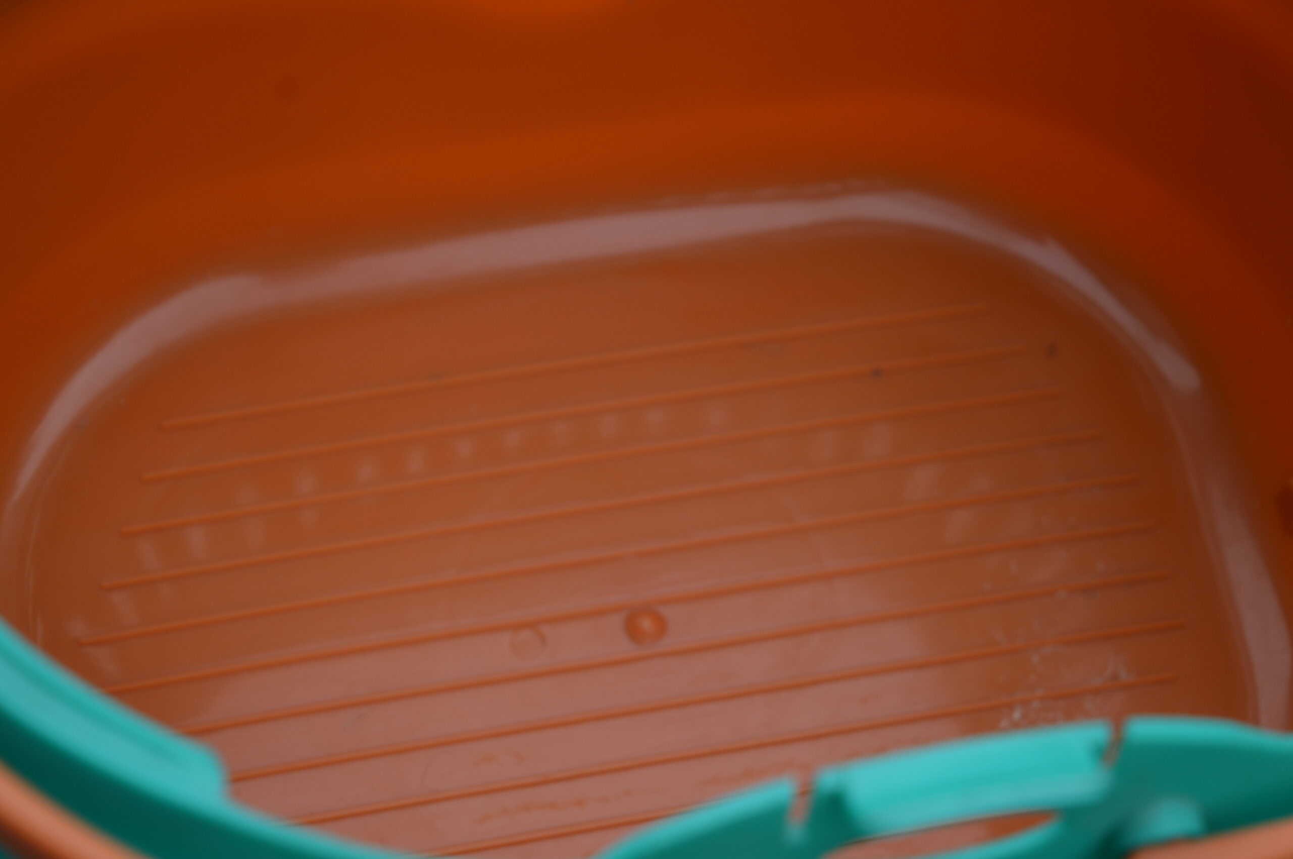 Boite de transport pour rongeur – Image 5