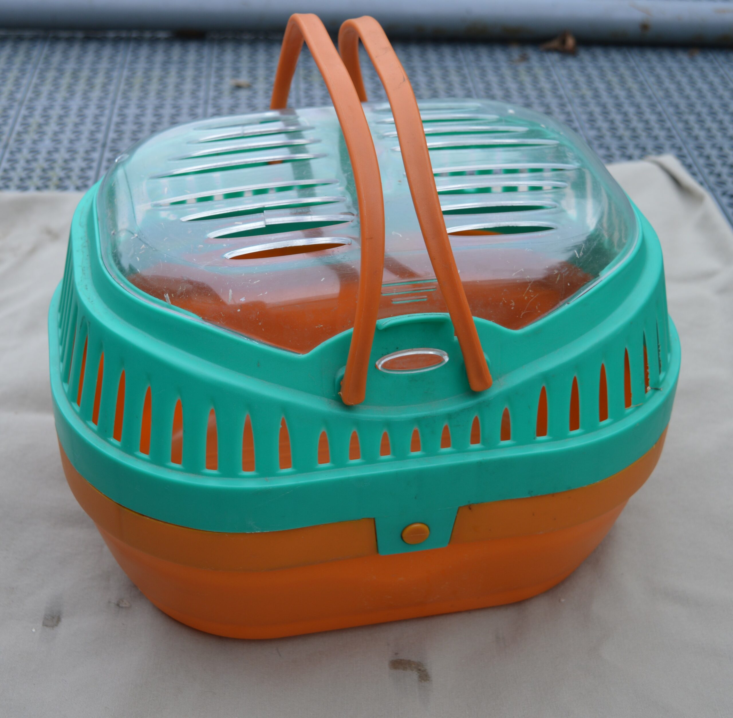 Boite de transport pour rongeur