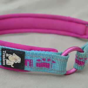 Collier pour chien