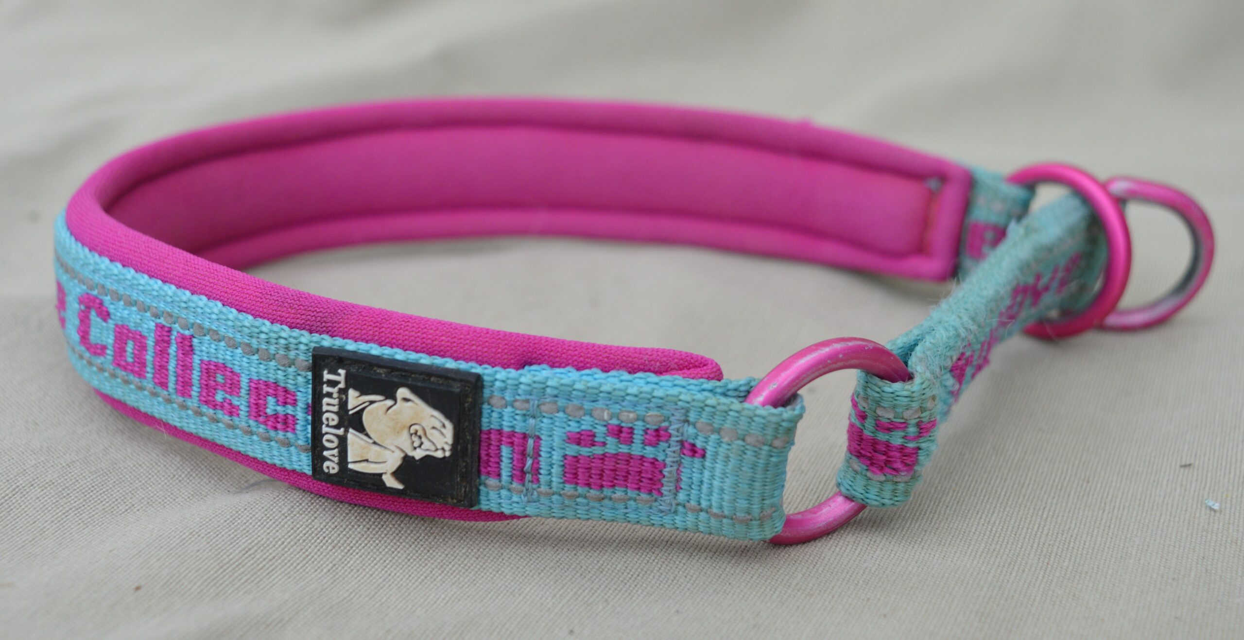Collier pour chien