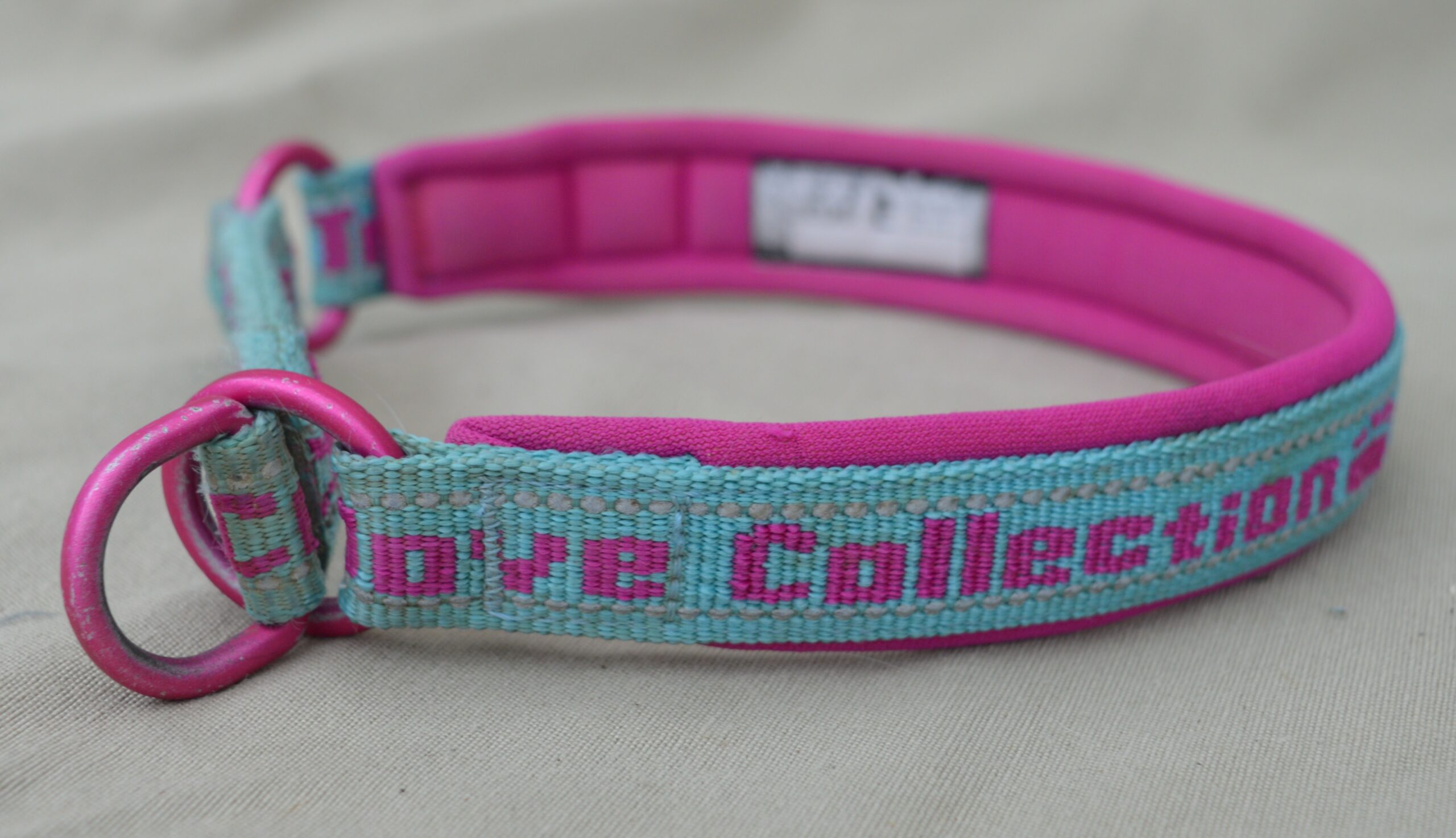 Collier pour chien – Image 4