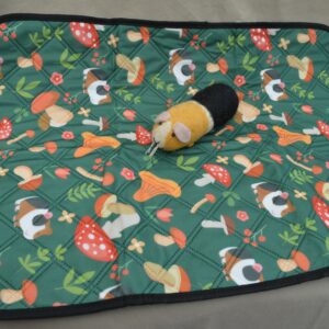 Tapis de sol pour cochon d'Inde & lapin