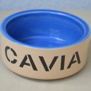 Gamelle pour cochon d'Inde