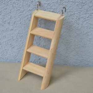 Escalier pour petit rongeur