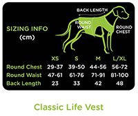 Gilet de natation pour chien – Image 3