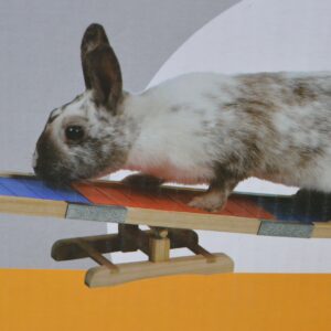 Bascule pour rongeur & lapin