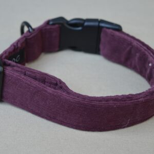Collier pour chien (différents modèles)