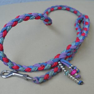 Laisse pour chien