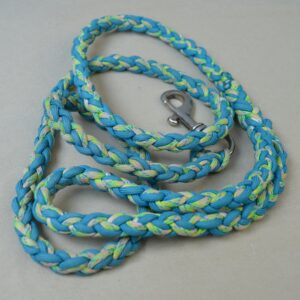 Laisse pour chien
