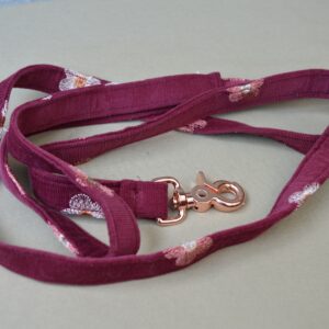 Laisse pour chien