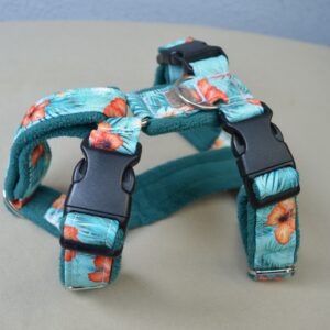 Harnais pour chien