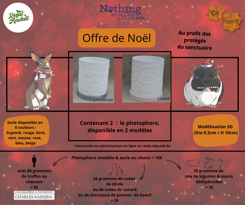 Offre de Noël – Image 3