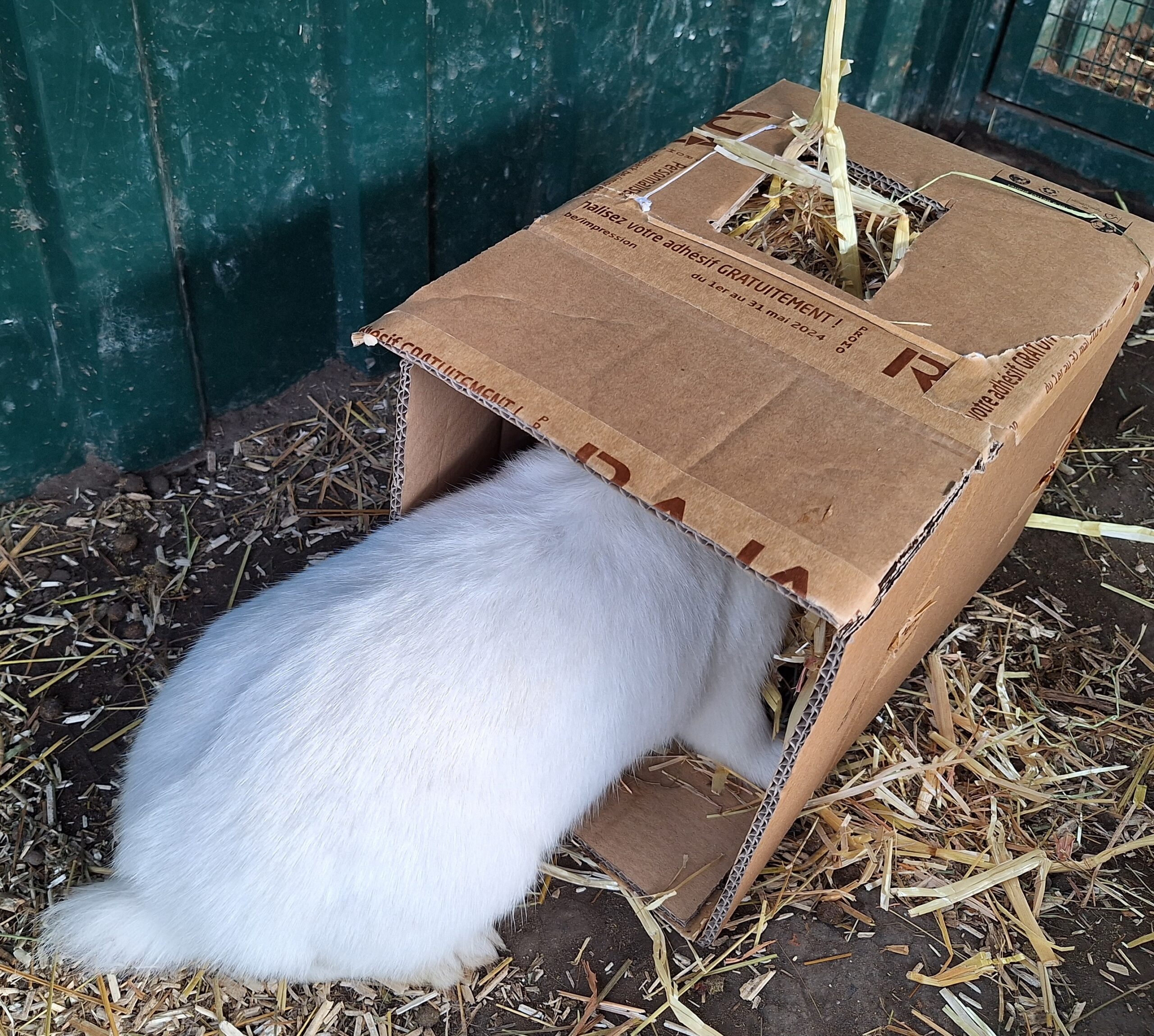 Minus Box – Image 2