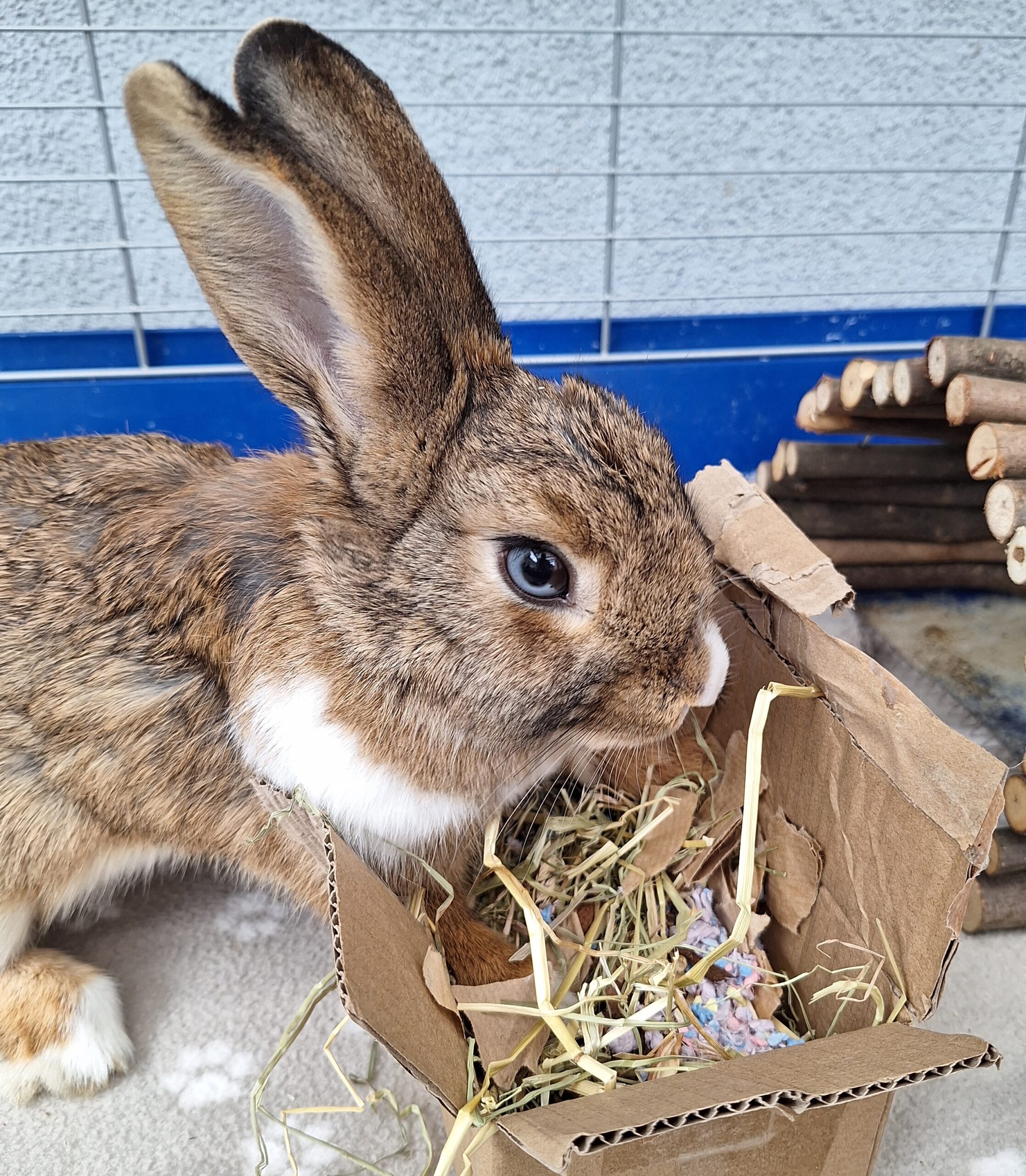 Minus Box – Image 3