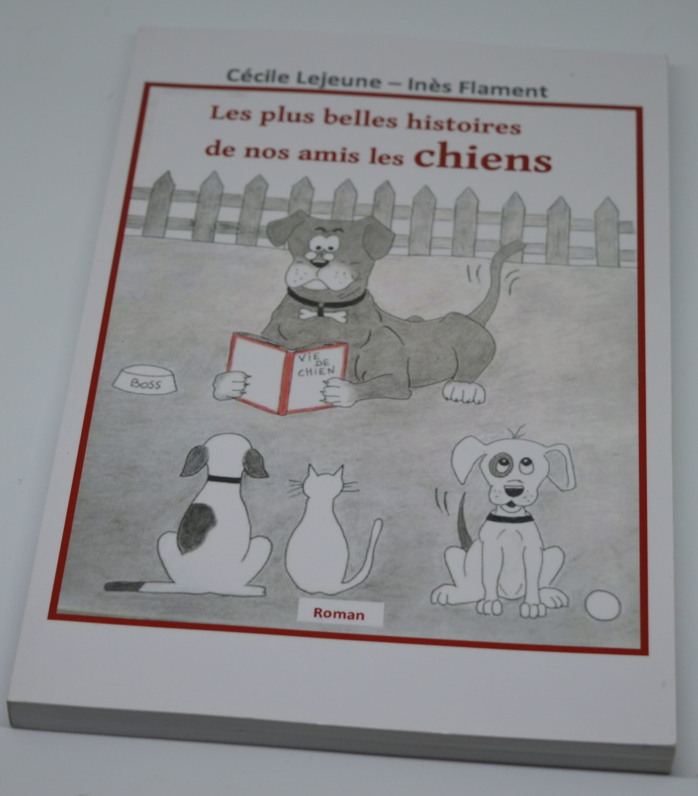 Les plus belles histoires de nos amis les chiens