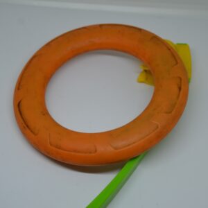 Anneau avec catapulte pour chien