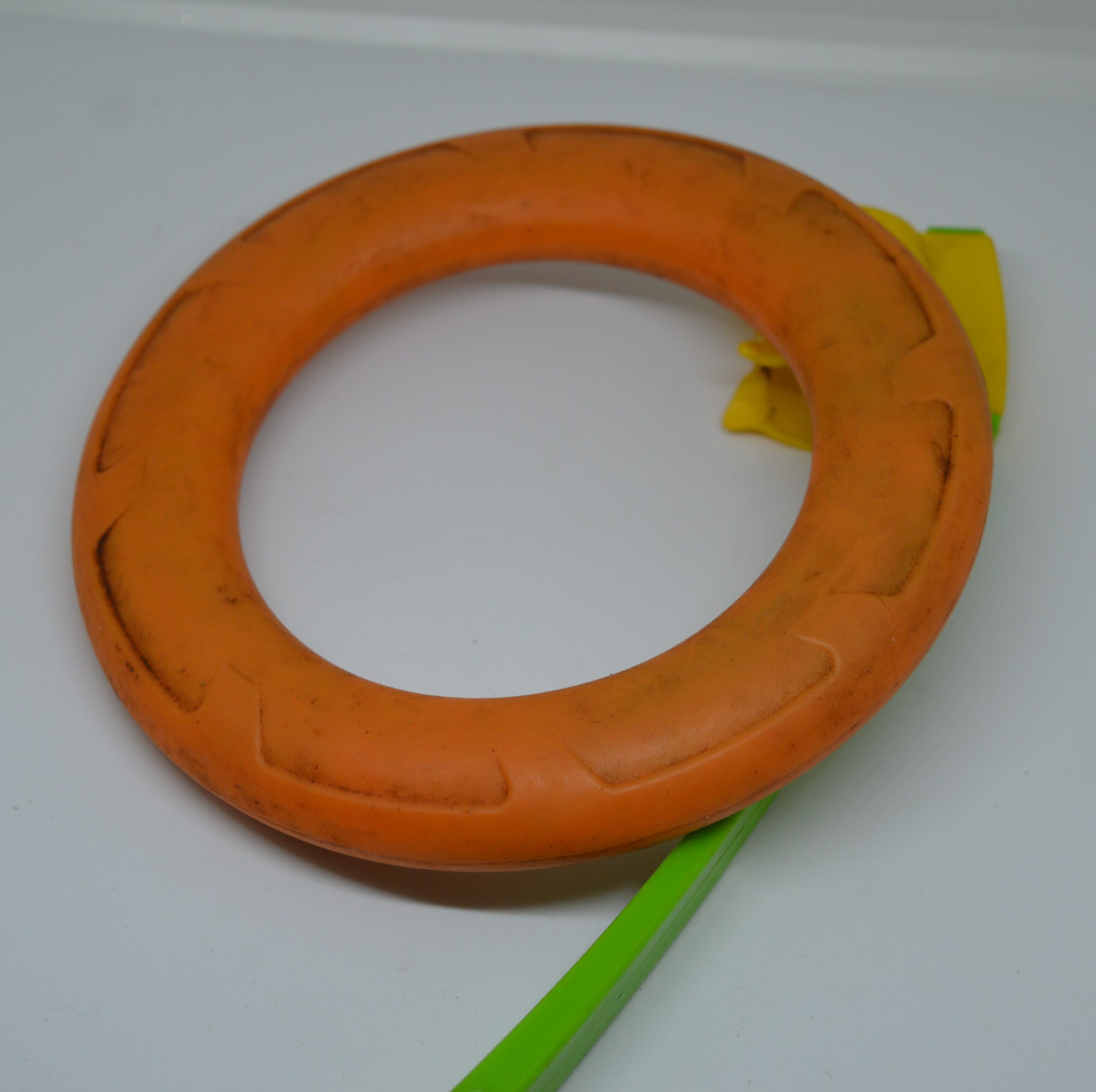 Anneau avec catapulte pour chien