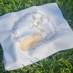 Lingette pour lunettes