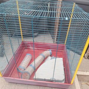 Cage pour furet