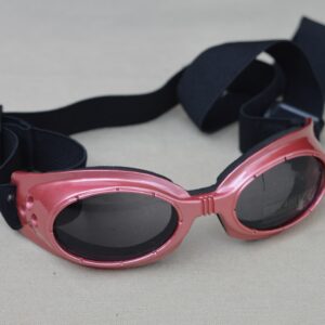 Lunettes de soleil pour chien