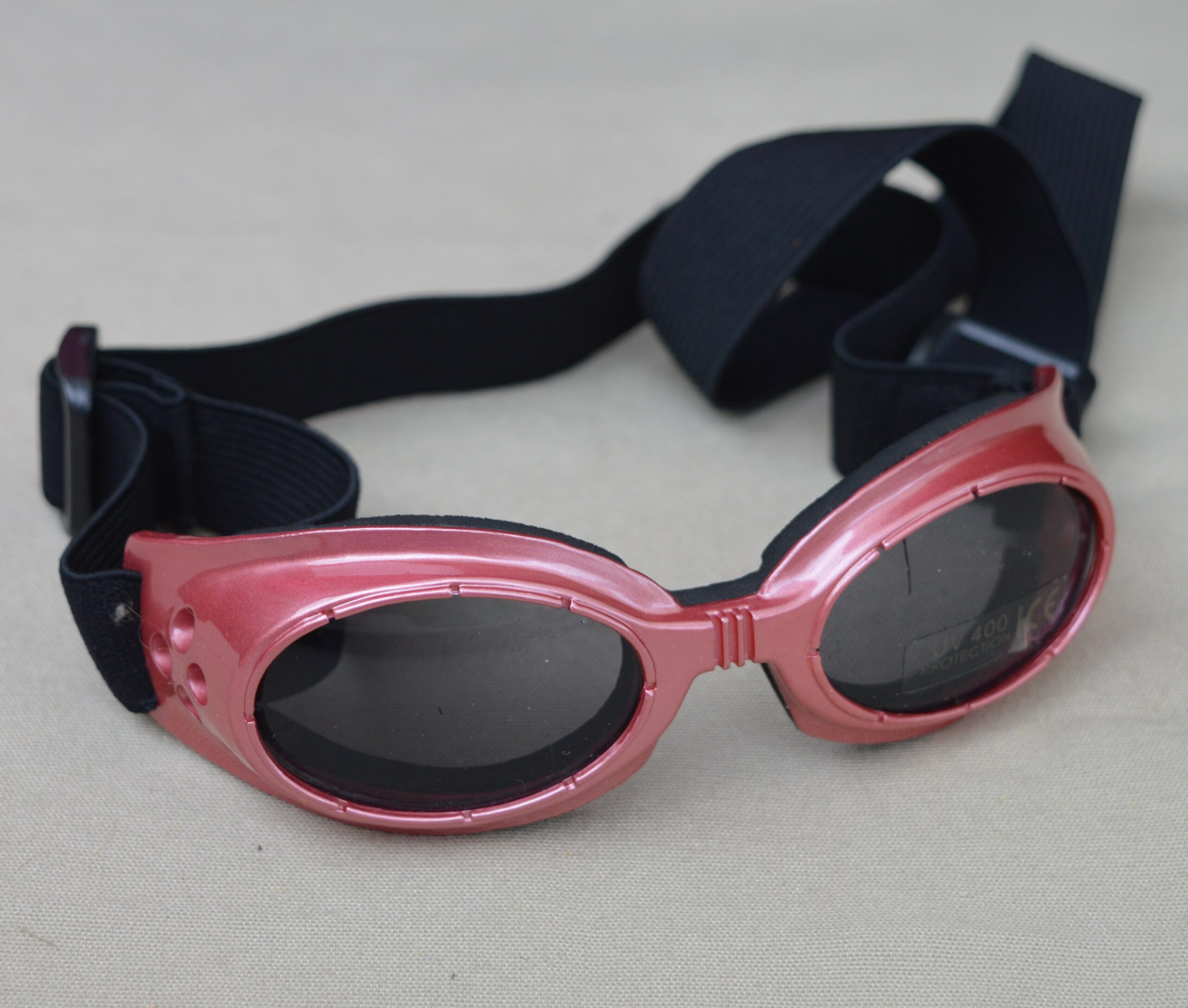 Lunettes de soleil pour chien