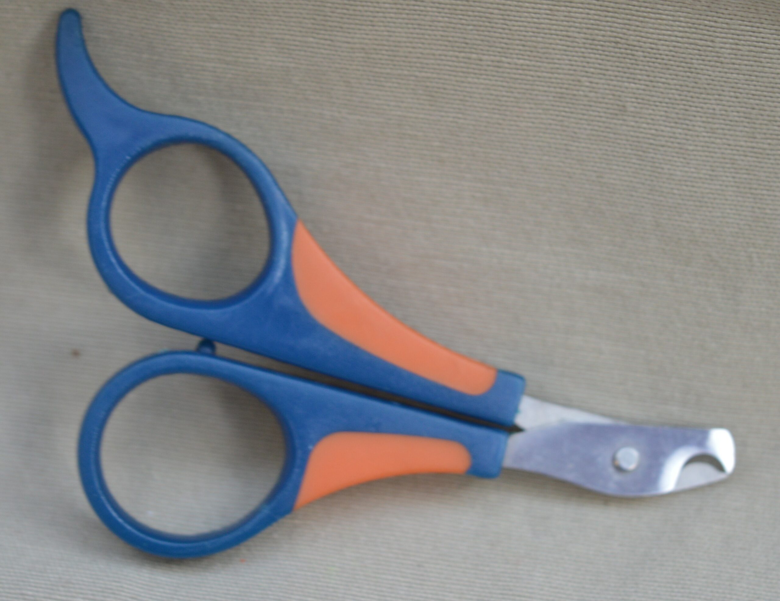 Coupe-ongles pour rongeur & lapin