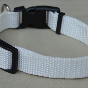 Collier pour chien