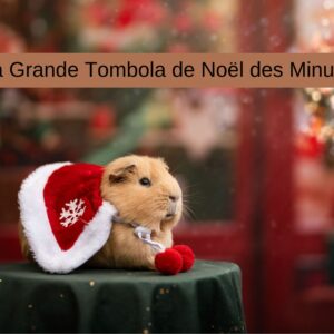 La Grande Tombola de Noël des Minus