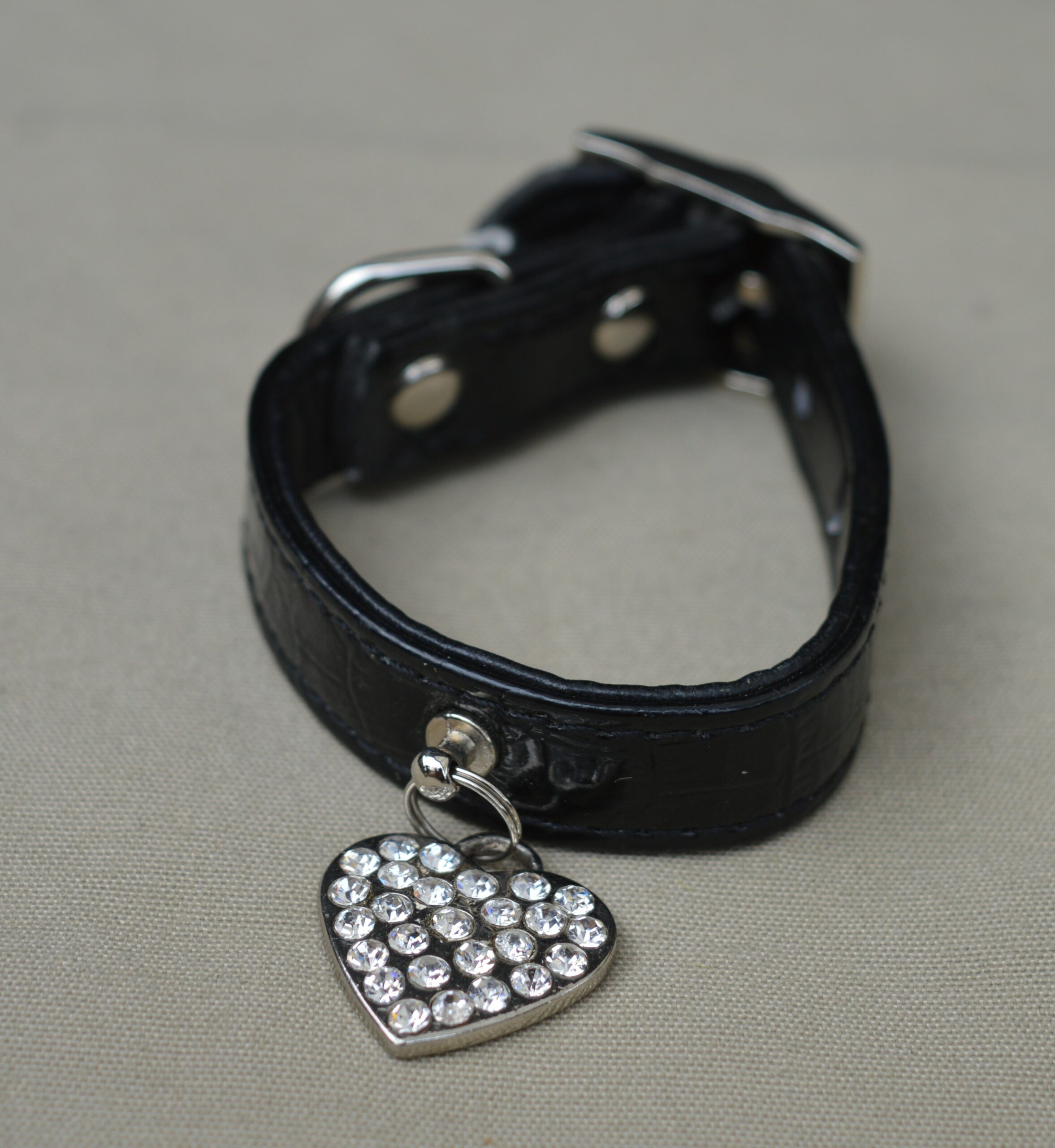 Collier pour chien
