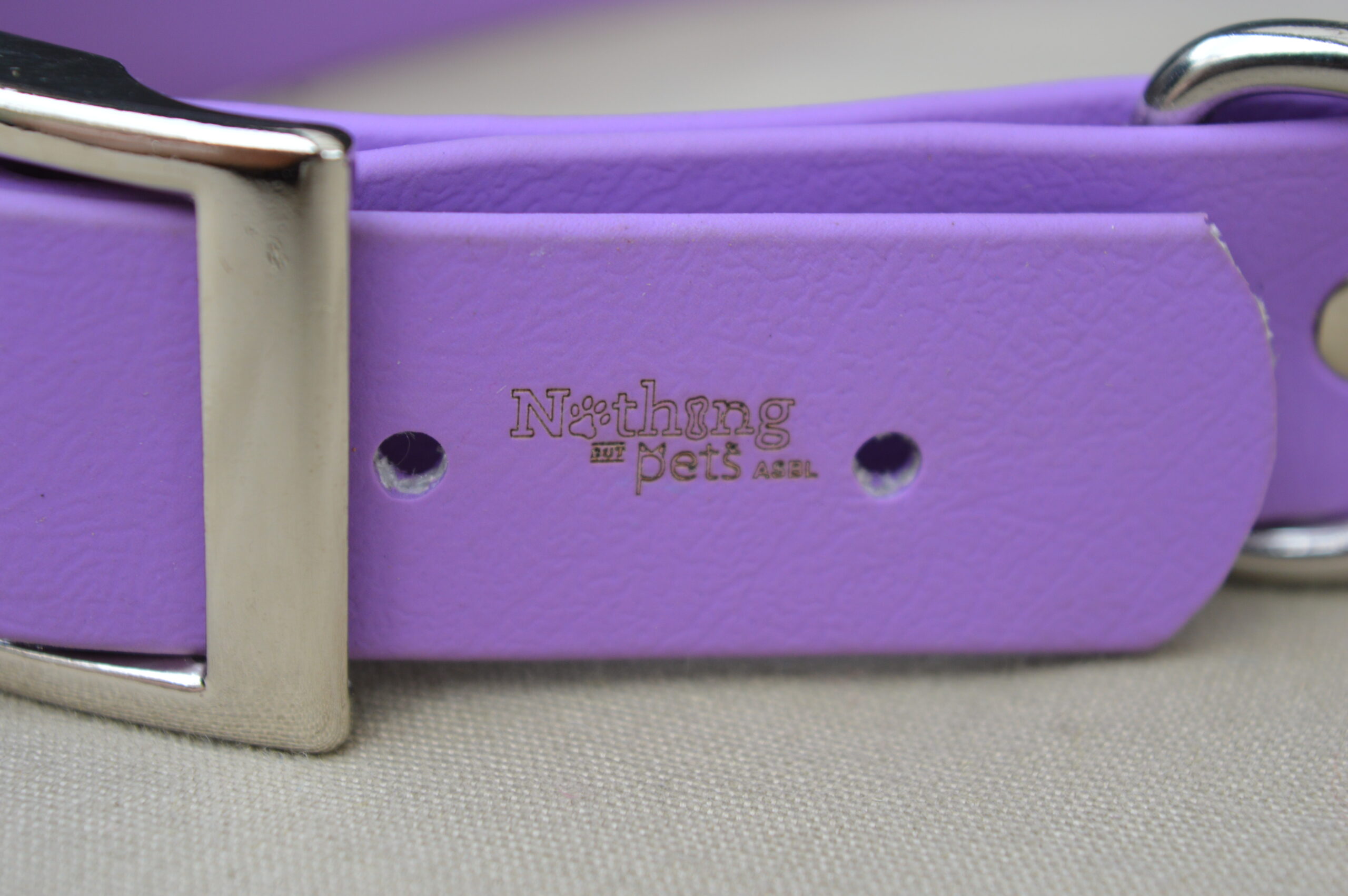 Collier pour chien – Image 3