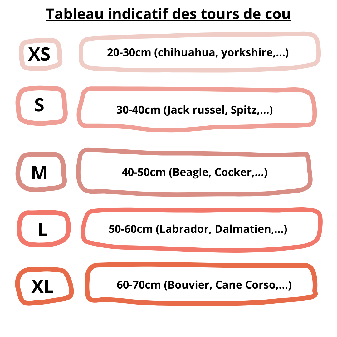 Collier pour chien – Image 2