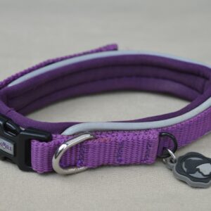 Collier pour chien