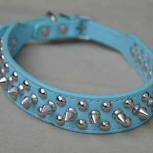 Collier pour chien