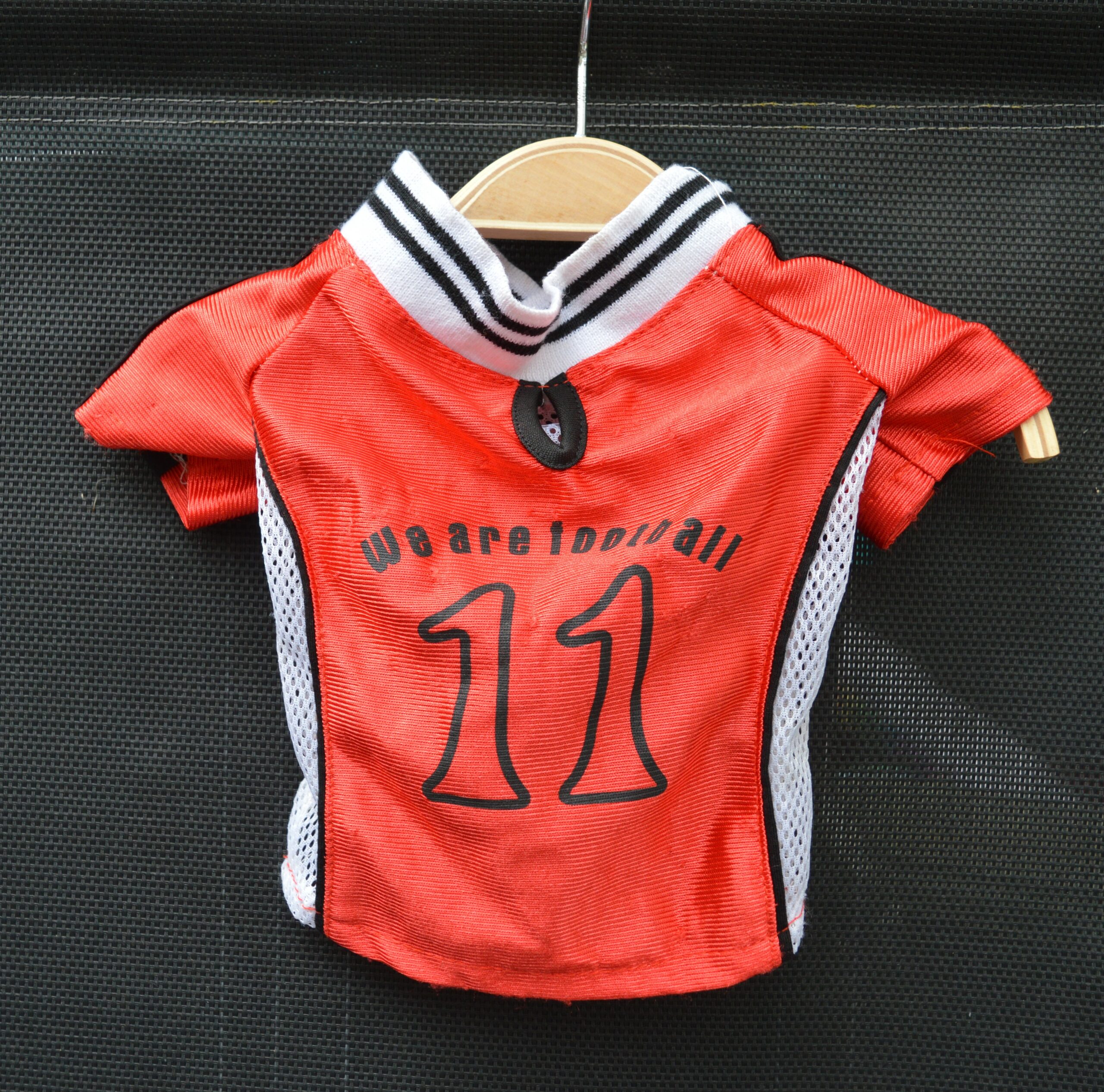 Tee-shirt pour chien