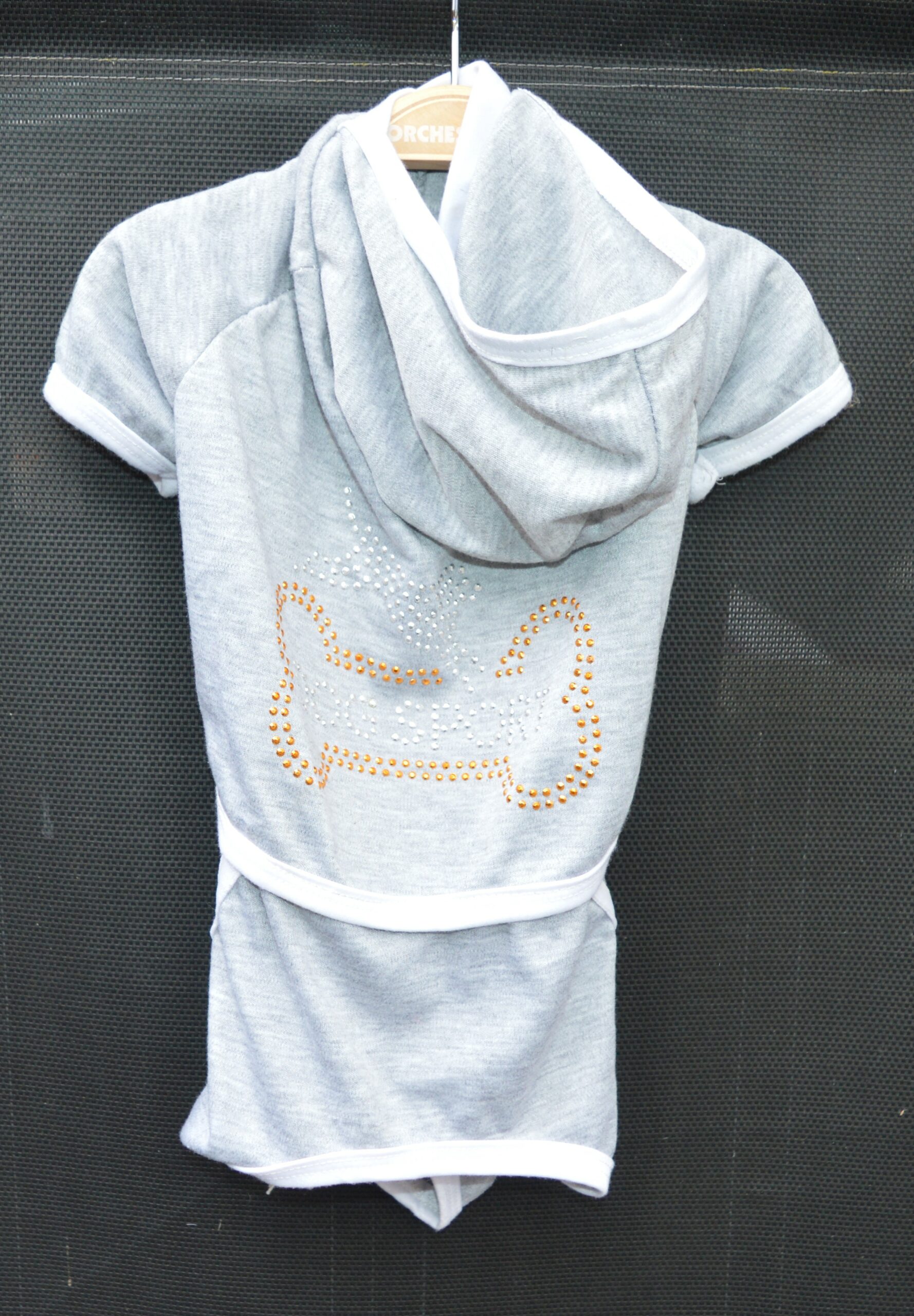 Combinaison pour chien