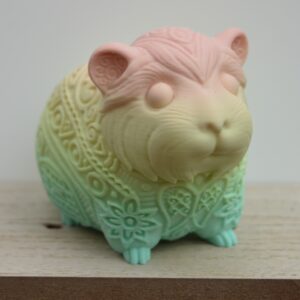 Cochon d'Inde 3D