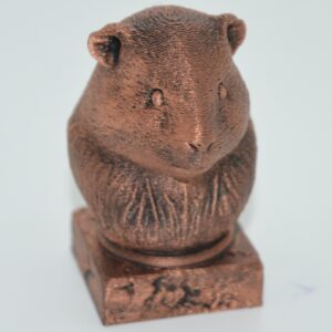 Cochon d'Inde 3D sur socle