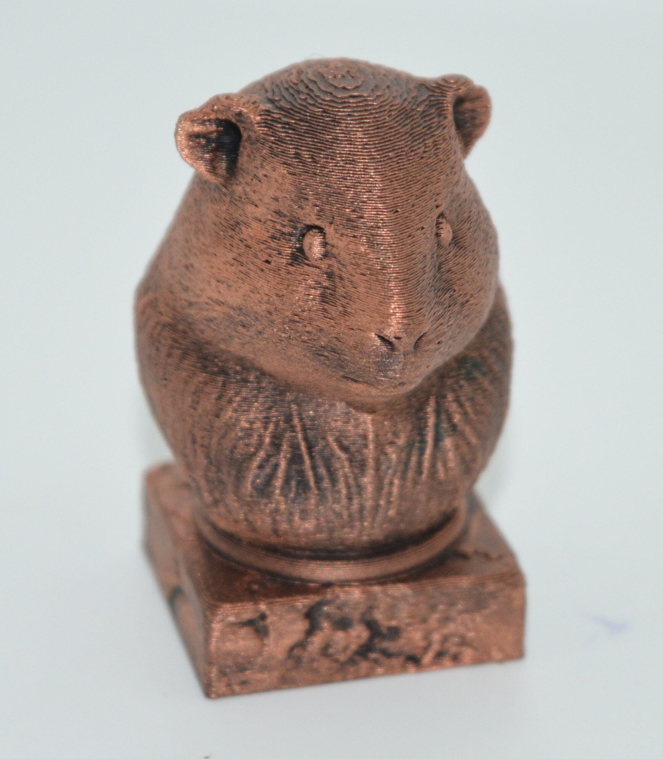 Cochon d'Inde 3D sur socle