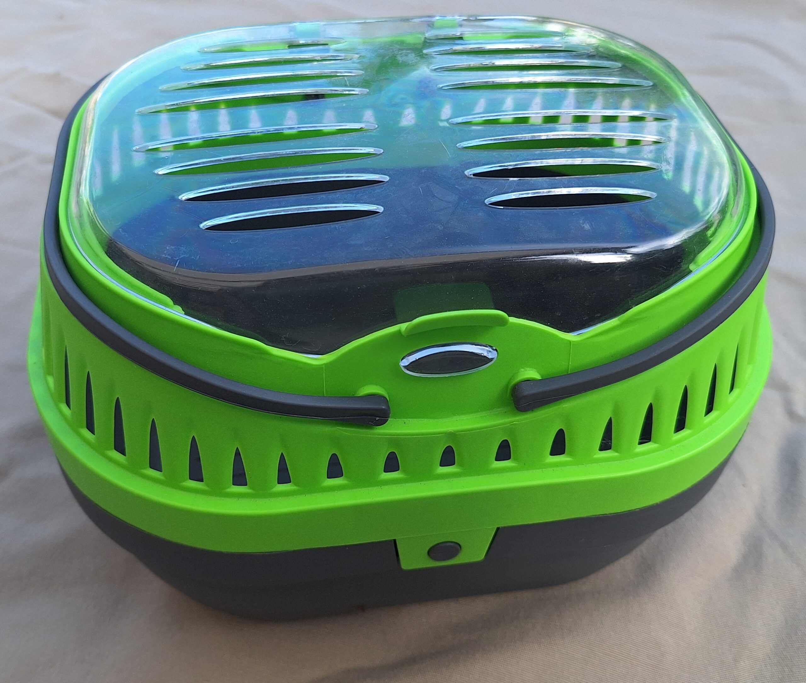 Boite de transport pour rongeur