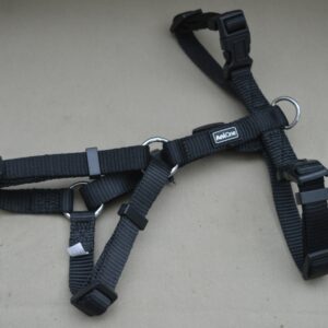 Harnais pour chien