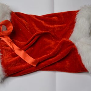 Cape de Noël pour chien