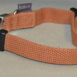 Collier pour chien