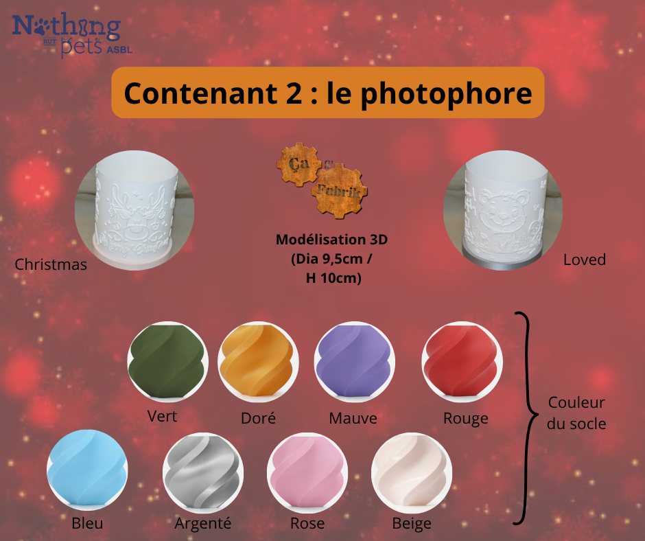 Offre de Noël – Image 6