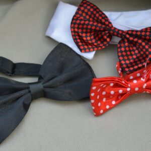 Nœud papillon pour chien