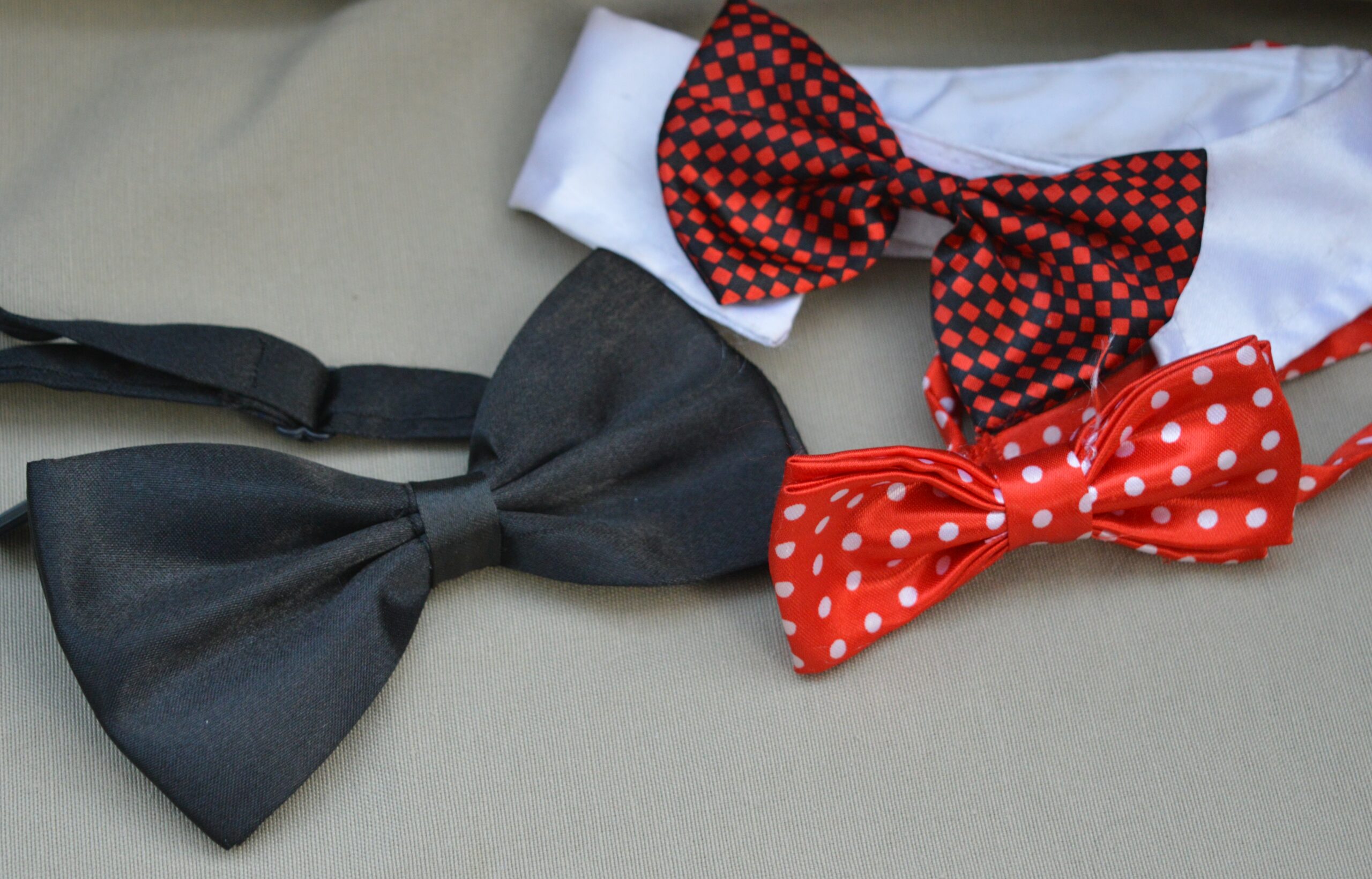 Nœud papillon pour chien