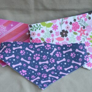 Bandana pour chien
