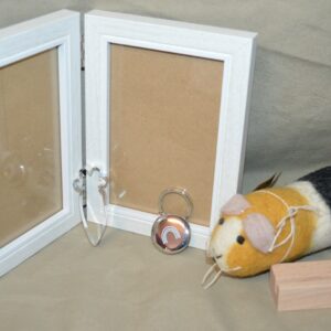 Box pour les amoureux des minus